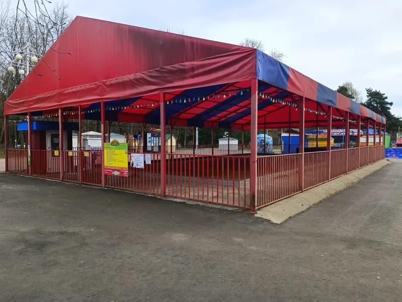 Junior Bumper Cars