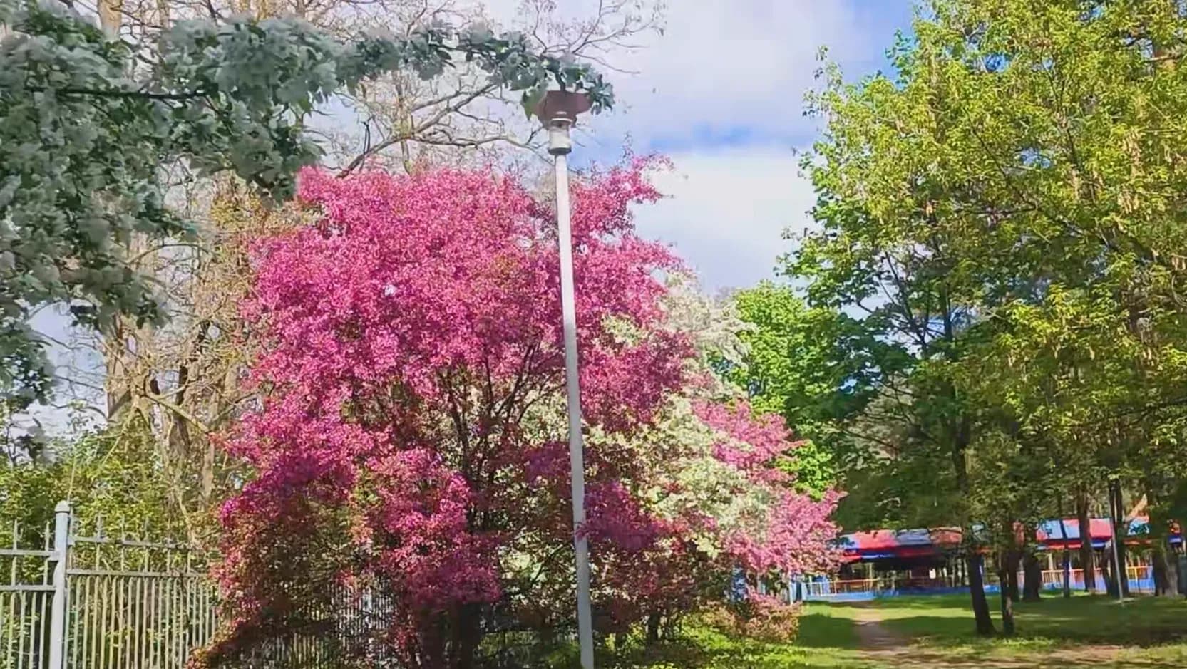 Надувной батут «Крутая Маша»